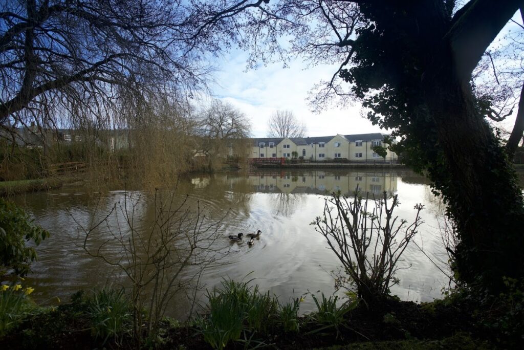 Buckland Care