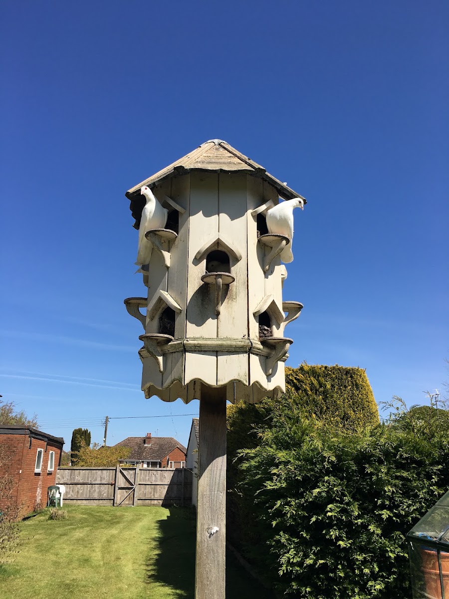 Lansdowne Hill Care Home | Agincare