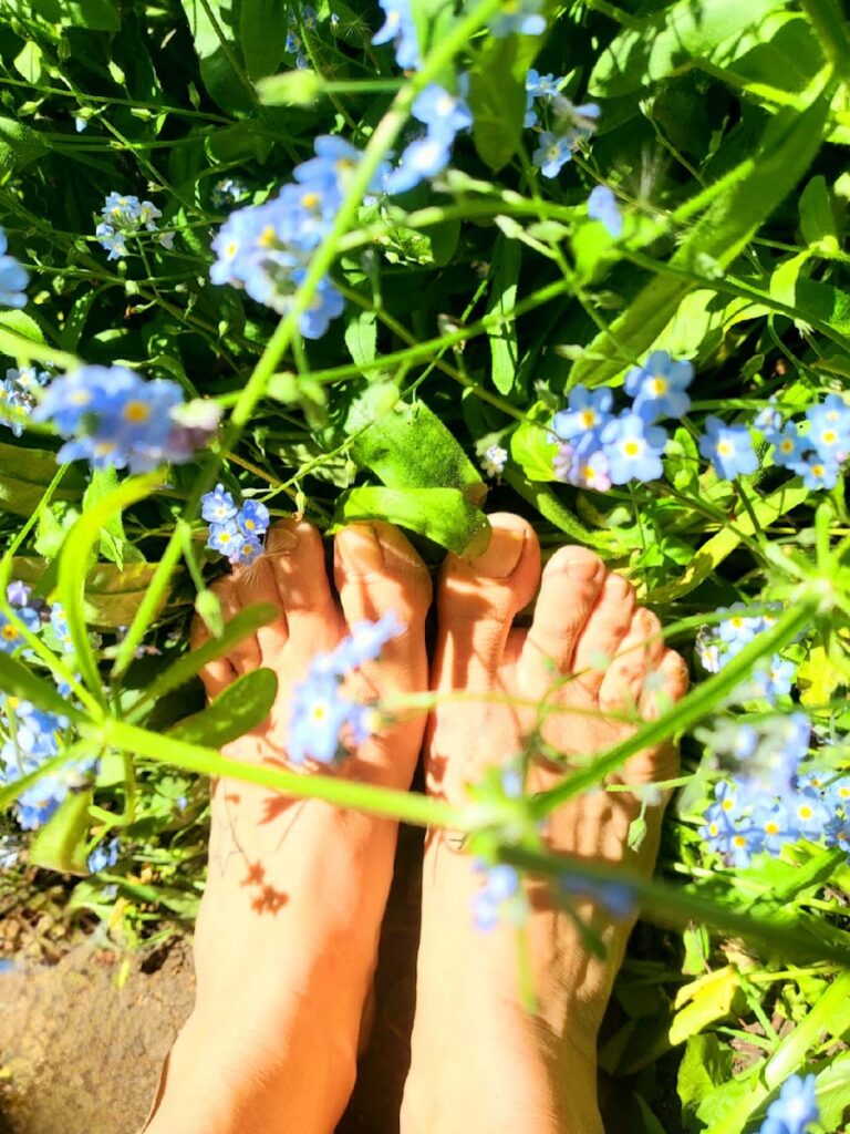 The Mobile Foot Clinic – South West