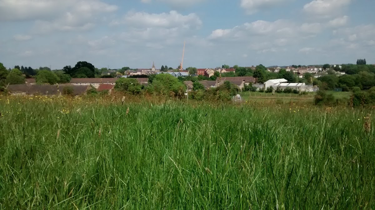 Abbeyfield Chippenham Society