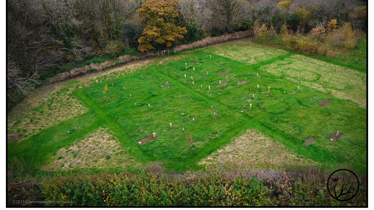 Atlantic Rest Natural Burial