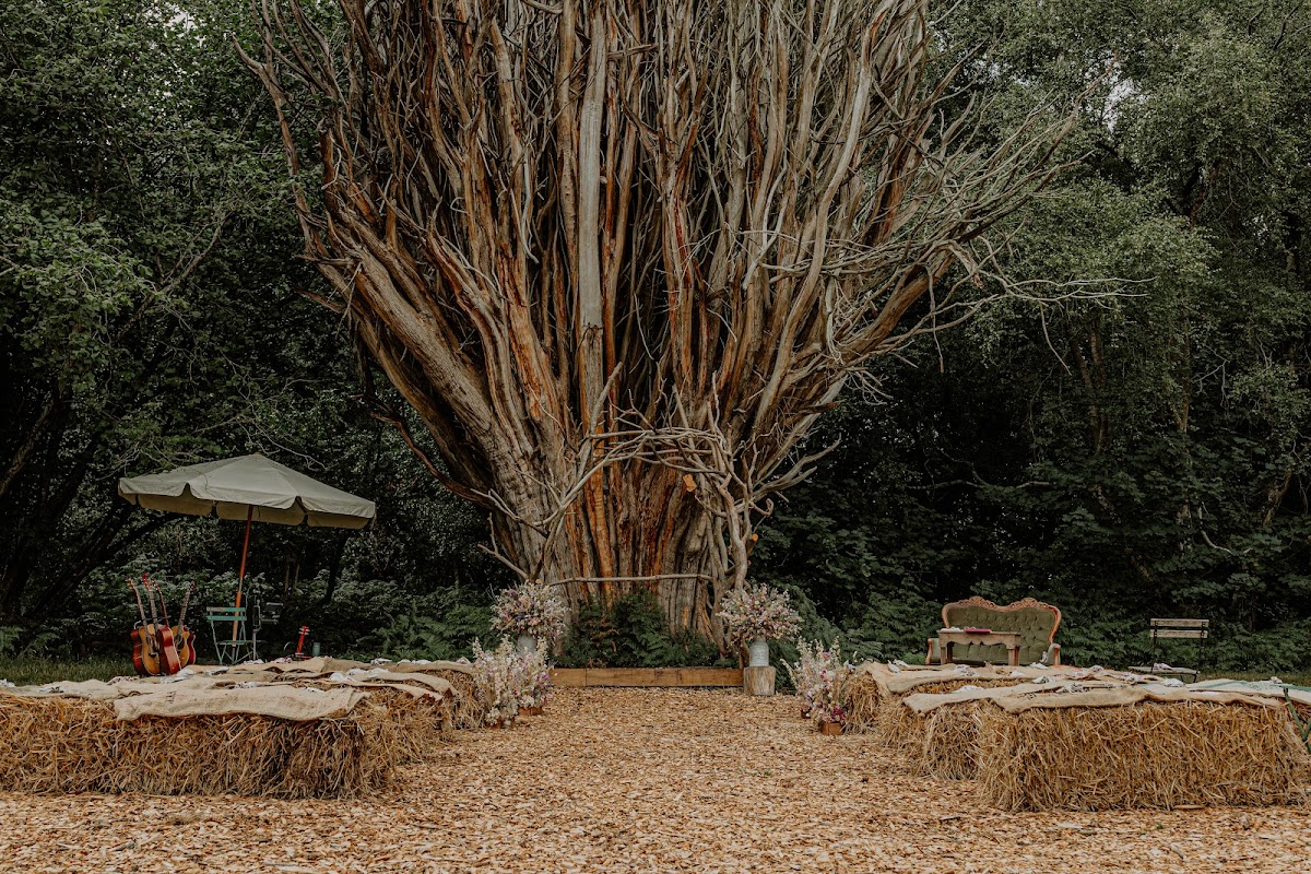 Babylon Woods