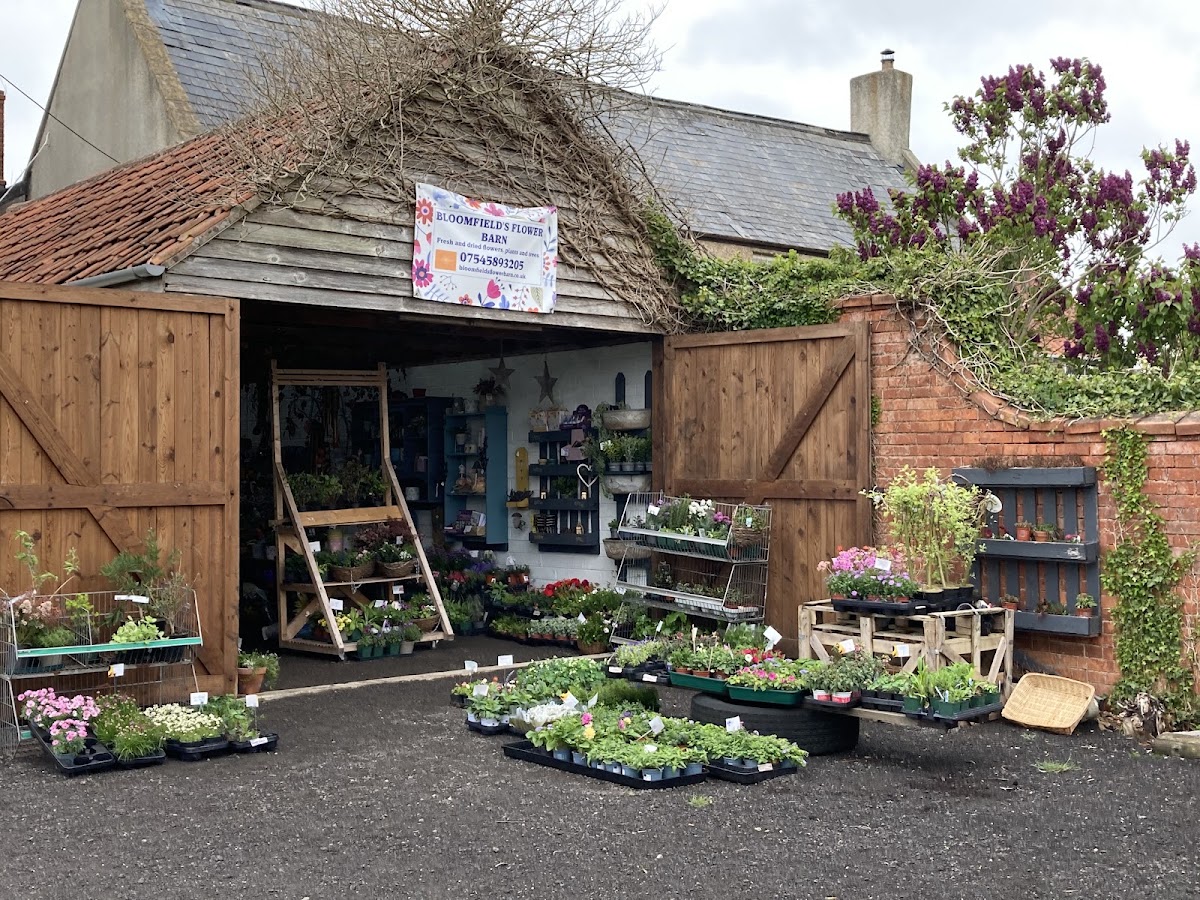 Bloomfield’s Flower Barn | Fresh and Dried Flowers | F L O R I S T | Somerset, E. Huntspill |