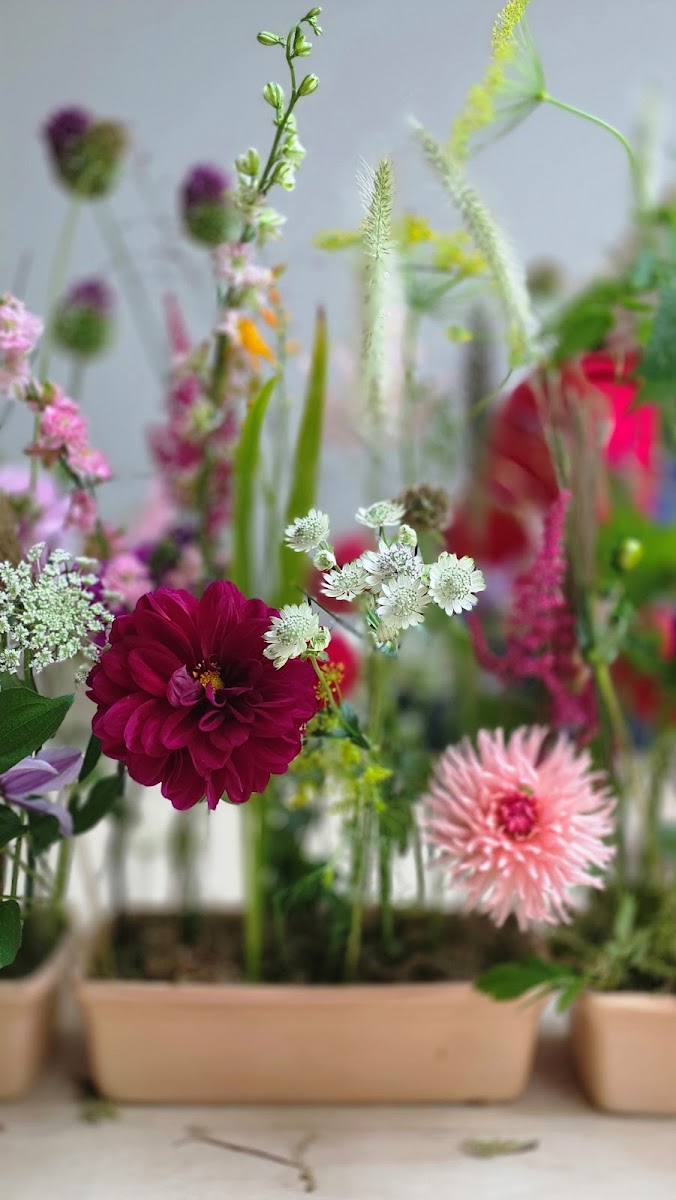 Bloom’n’Belle Ltd. Florist