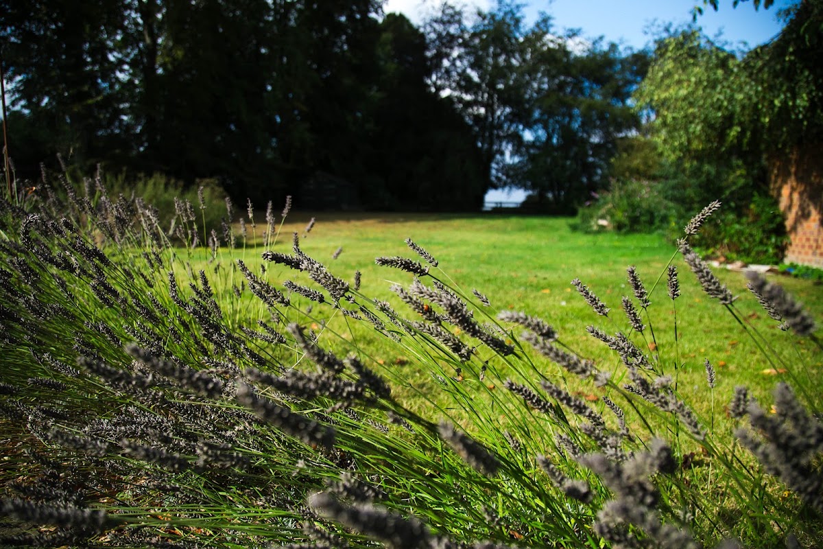 Bright Lives Counselling and Wellbeing Practice