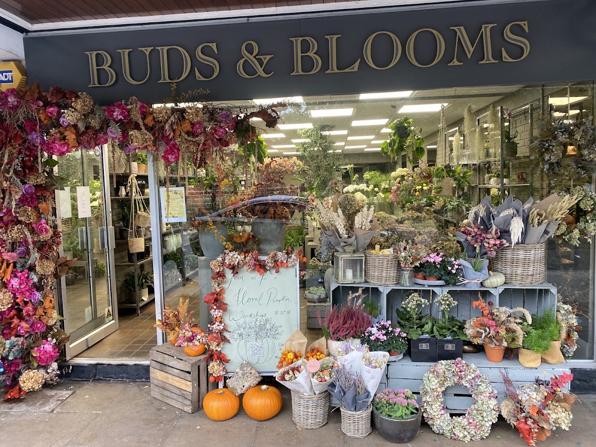 Buds & Blooms | Ascot