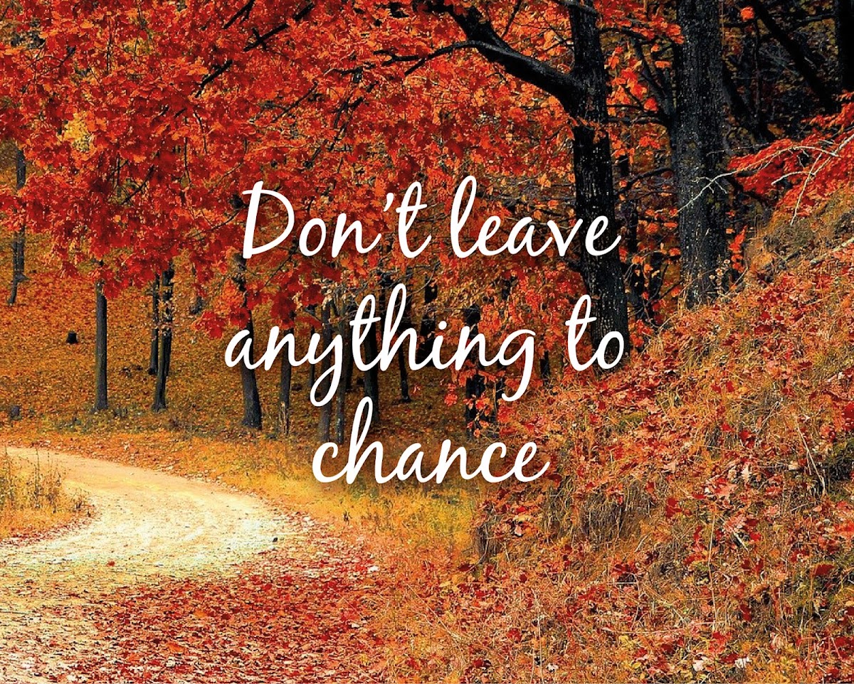 Cavendish Provincial Wills & Estate Planning