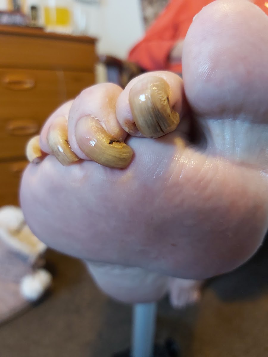 DD’s Footcare