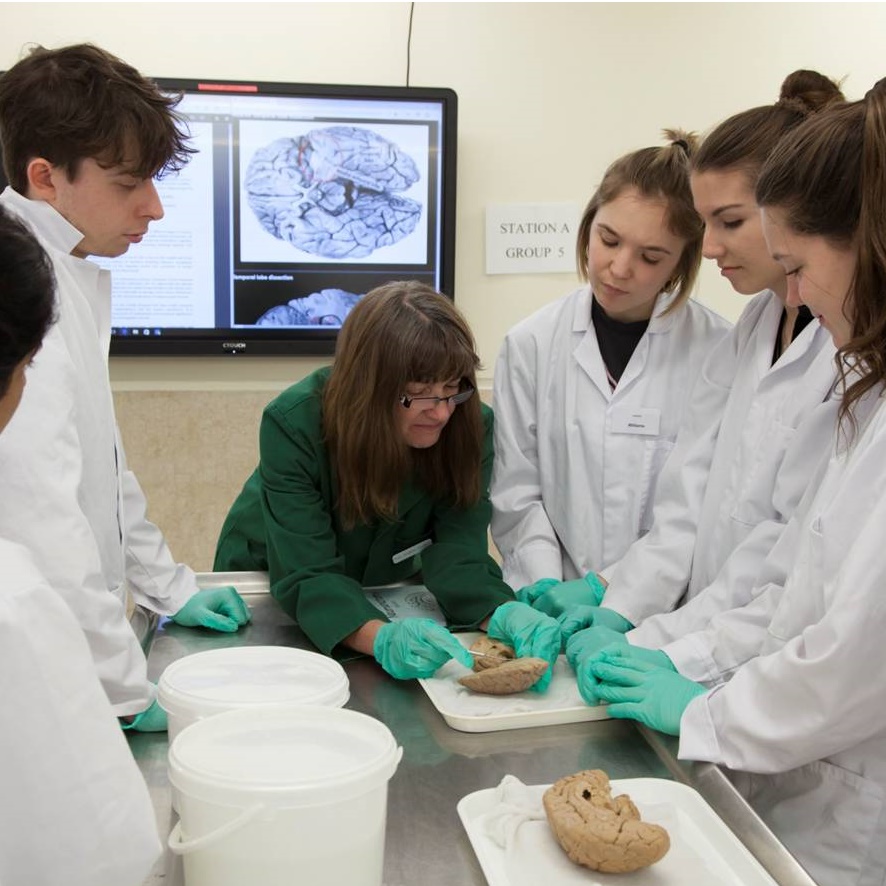 Department of Physiology, Development and Neuroscience