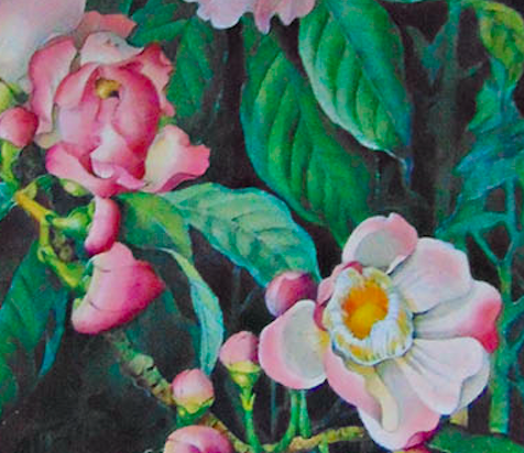Dorset Gardens Trust