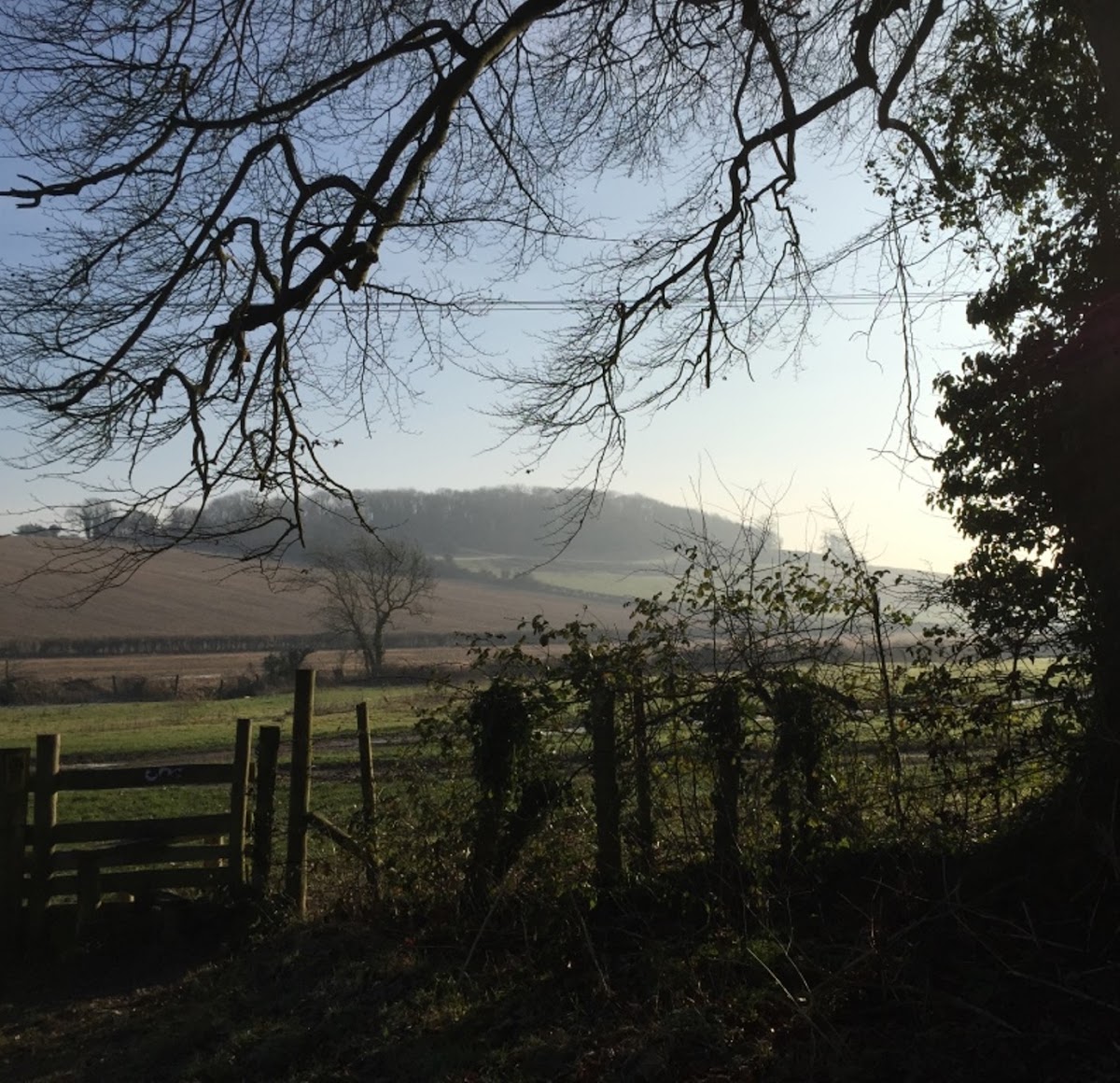 Dorset Planning Consultant Ltd