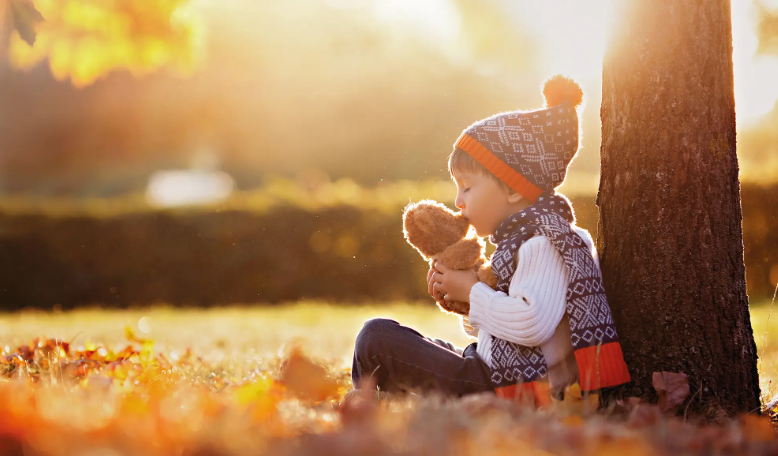 Family Law Solutions