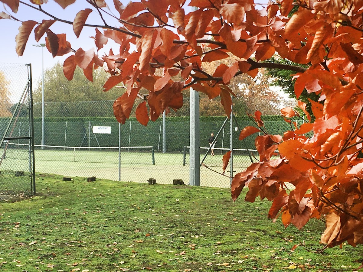 Flitwick & Ampthill Tennis Club