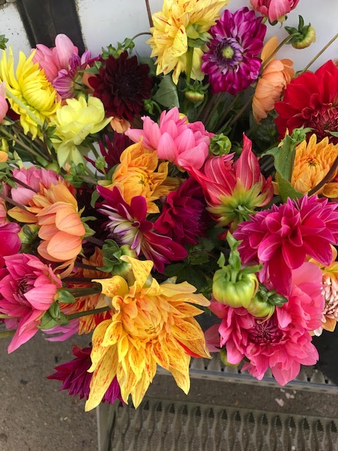 Flowers by Clowance