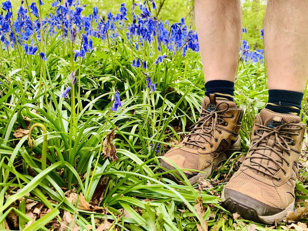 Forest Foot Care – FULLY BOOKED