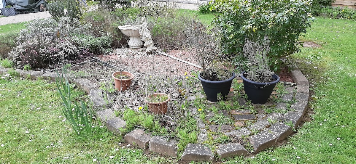Hanover Close – Anchor