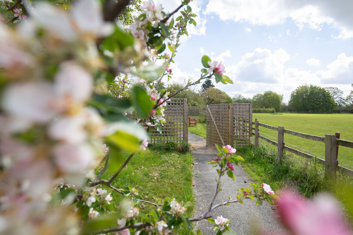 Home Meadow Care Home