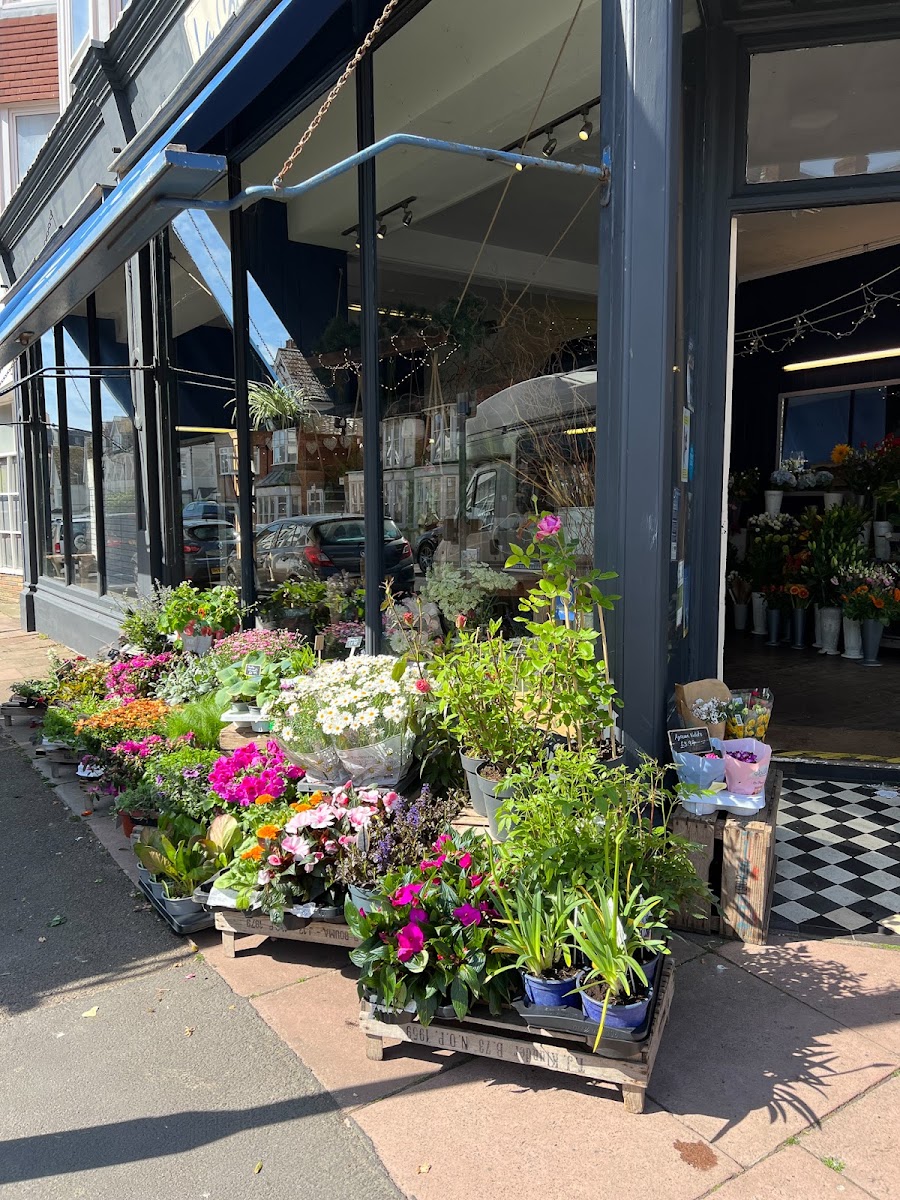 La Collina Gardens – Bexhill On Sea