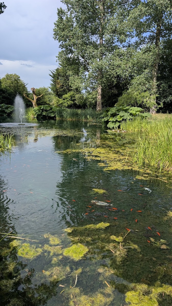 Lake House Kent Wellbeing CIC