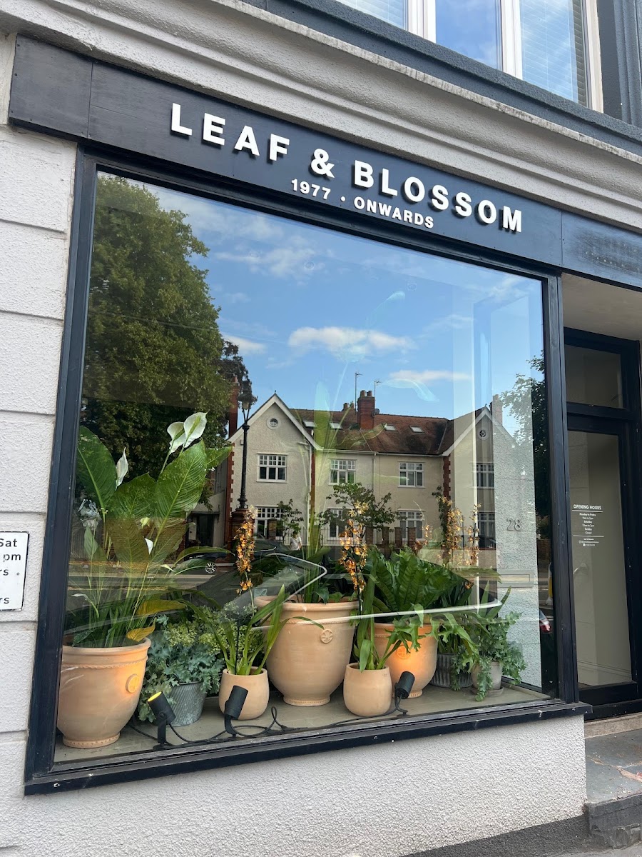 Leaf and Blossom
