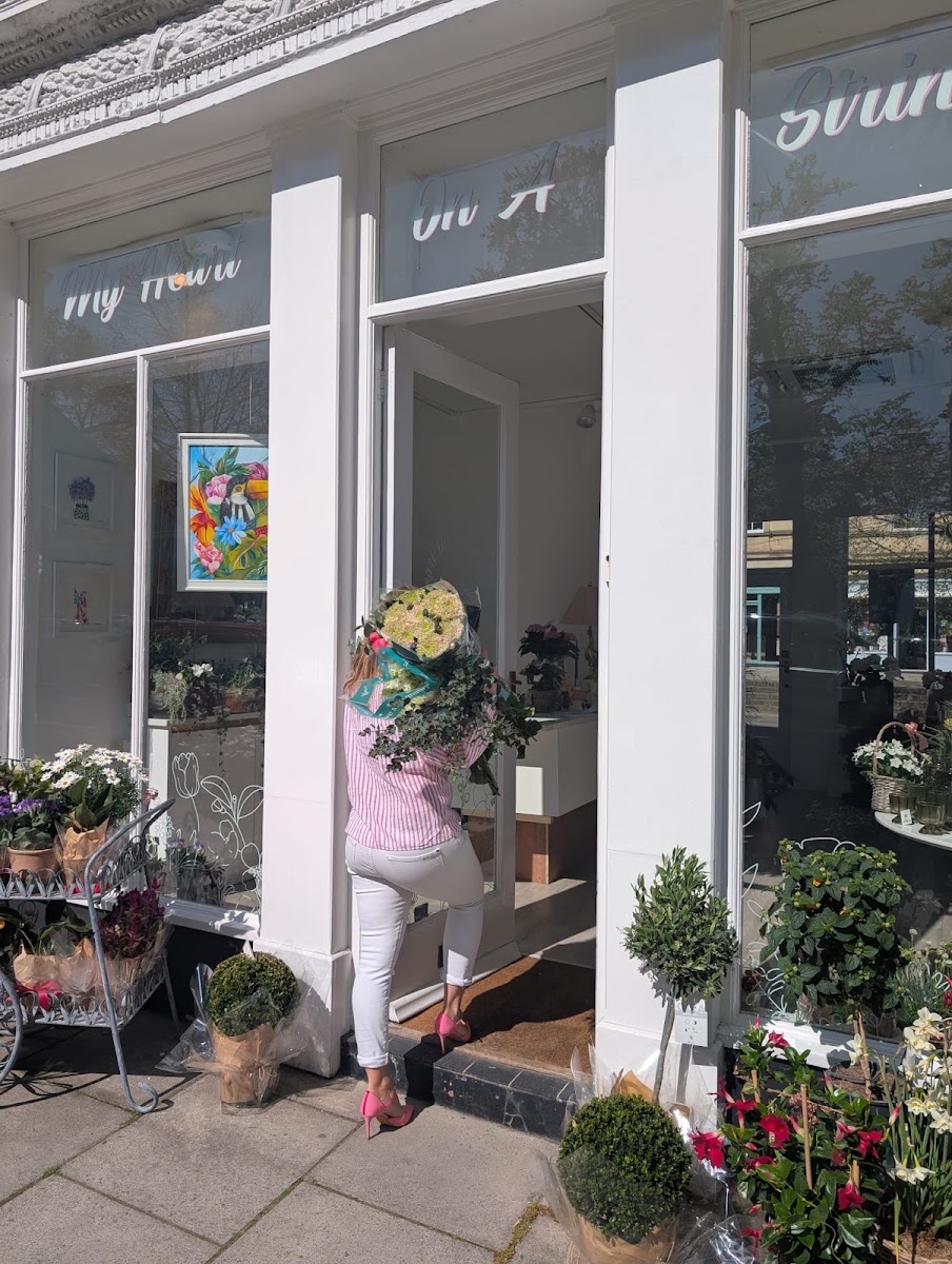 My Heart on a String Florist