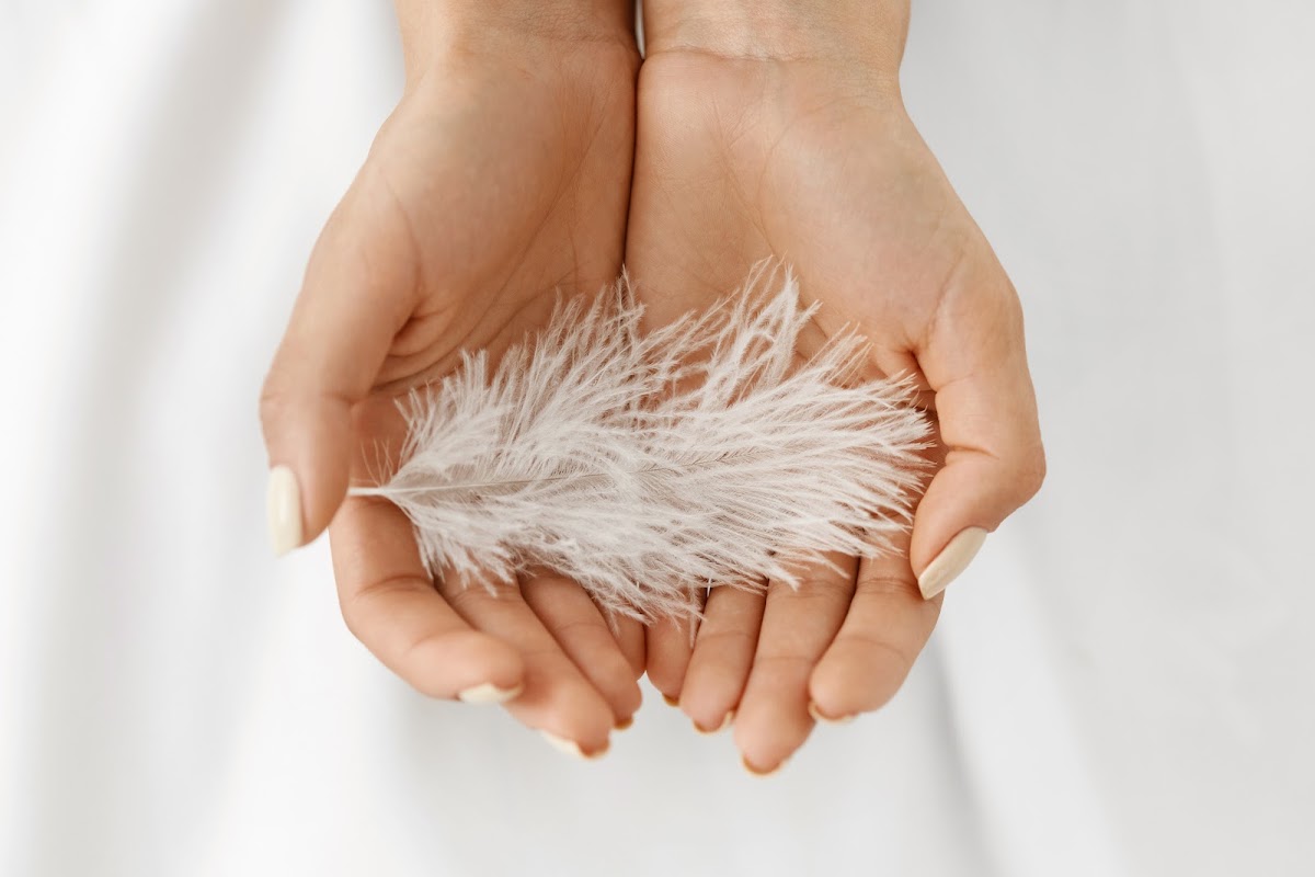 Nayberle Home Care Services