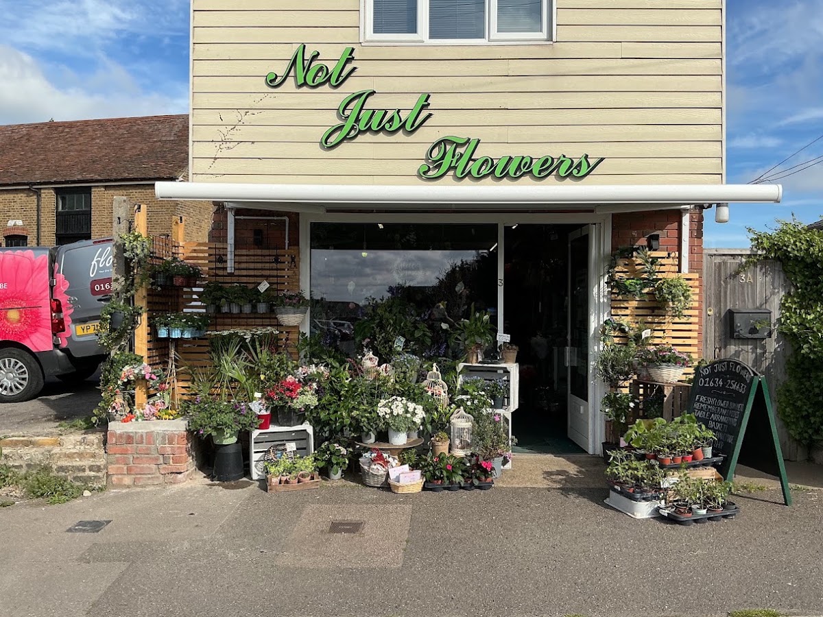 Not Just Flowers