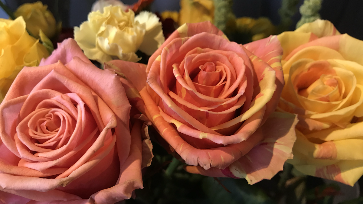 Passionis Flowers – Event and Occasion Florist