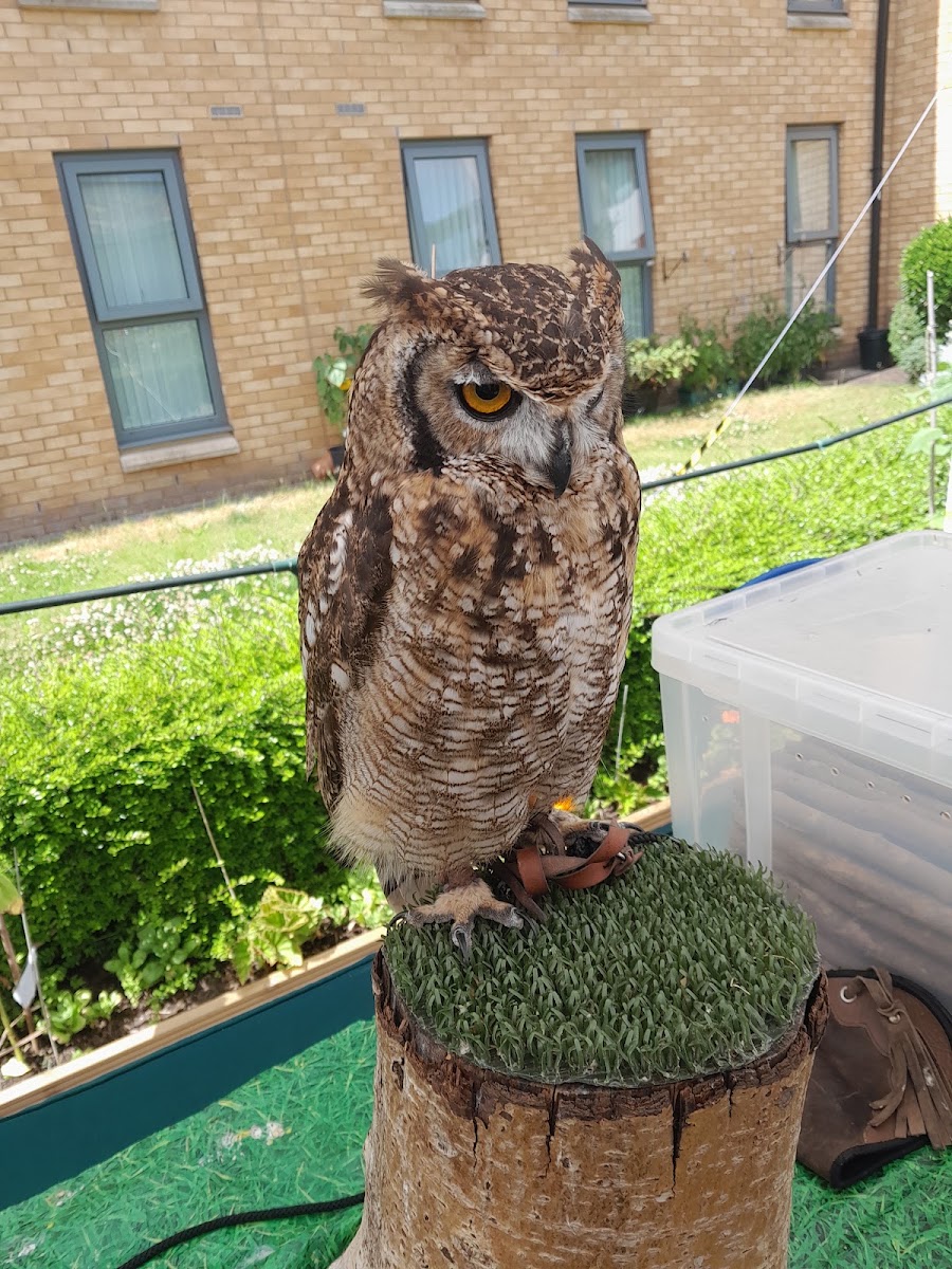 Pickmere Extra Care