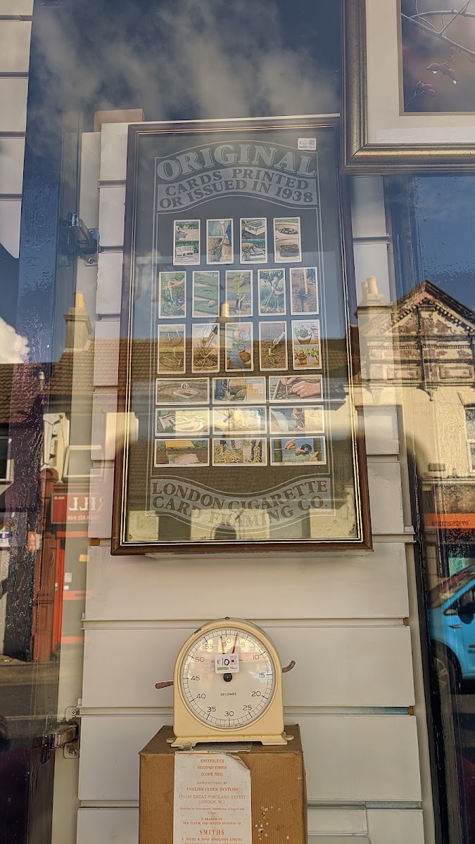 Skinner Street Charity Shop