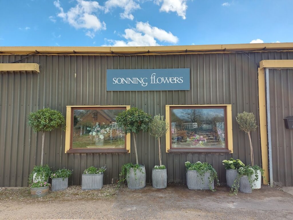Sonning Flowers