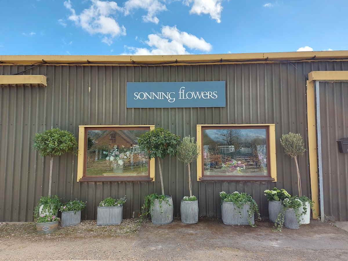 Sonning Flowers