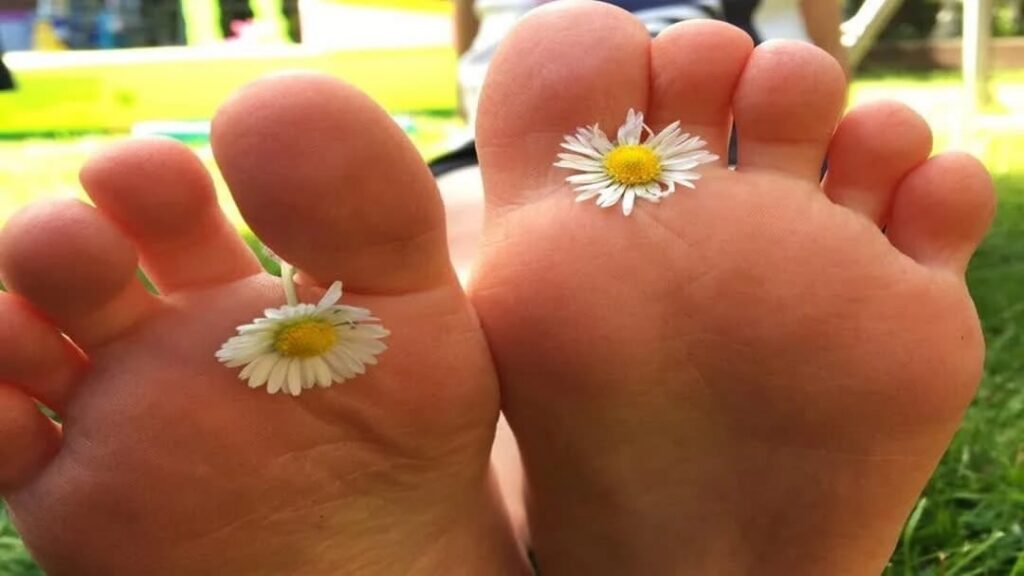 Sophie Dyne Chiropodist / Benfleet Chiropody