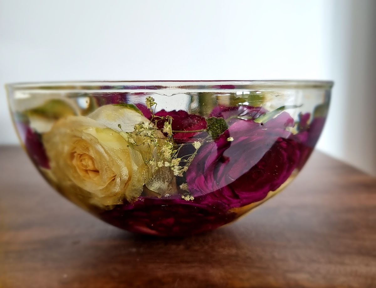 Stills And Blooms