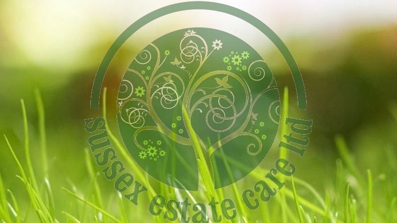 Sussex Estate Care Ltd