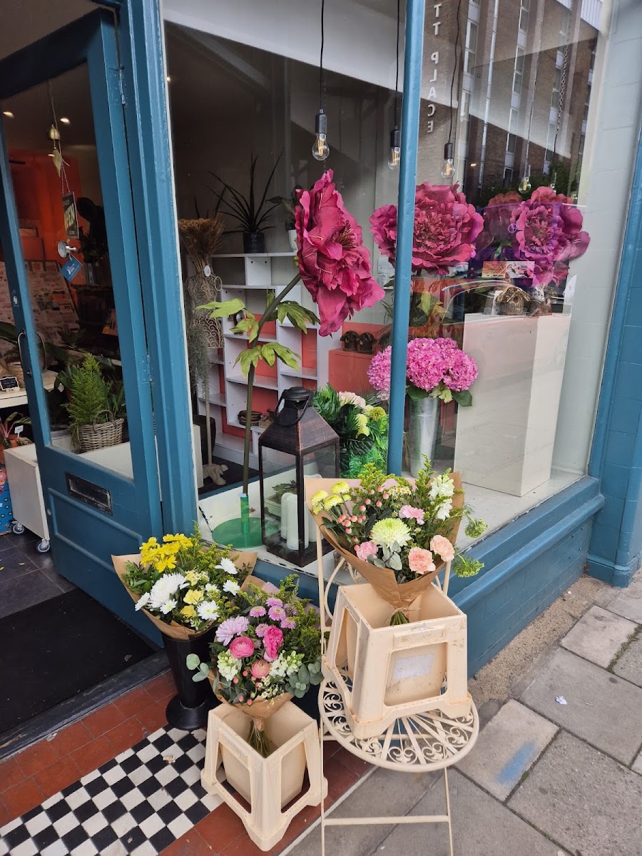 The Blossom Hound – Florists