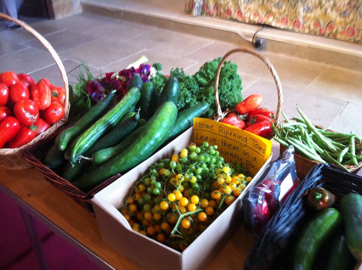 The Bridport Food Bank