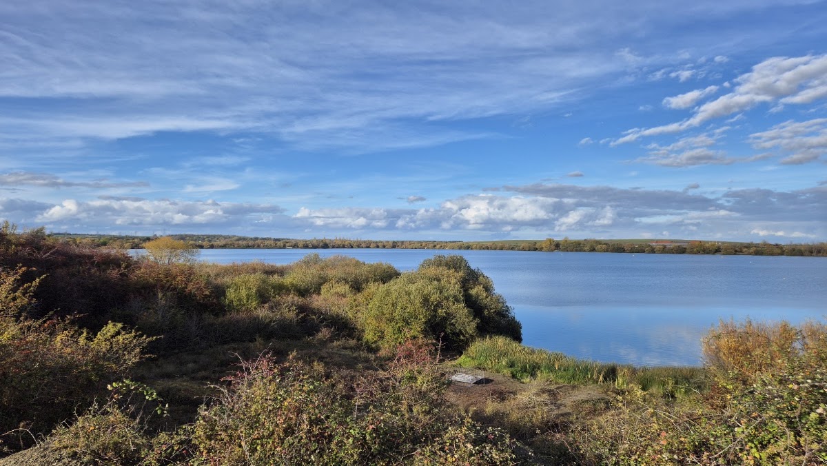 The Forest Centre – Millennium Country Park