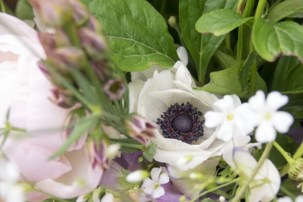 The Green Door Flower Co.
