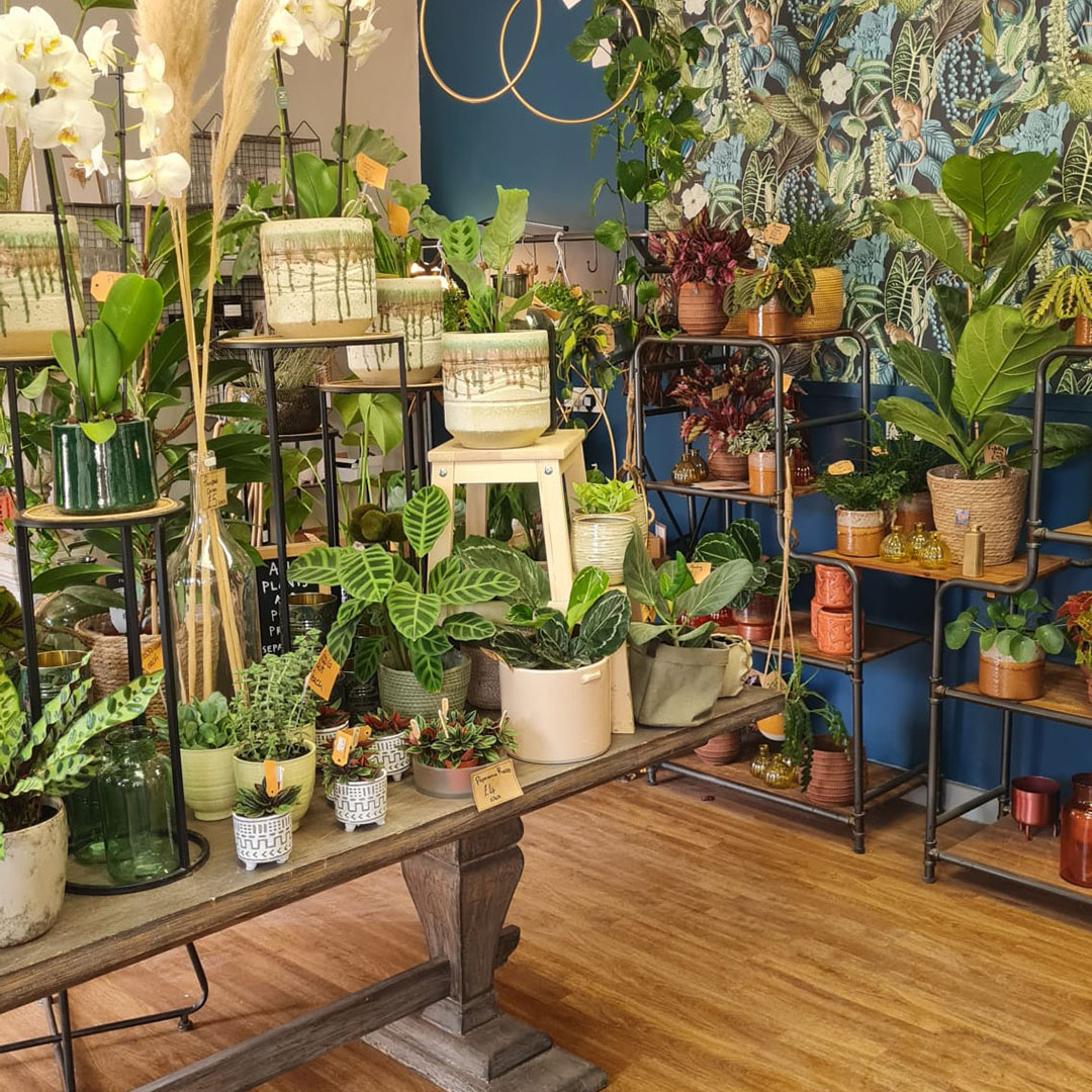 The Manor Florist