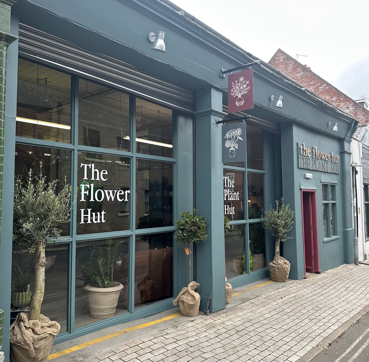 The Plant Hut – Indoor Plant Shop