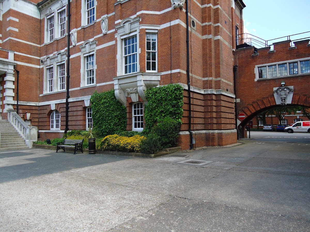 The Ward Room