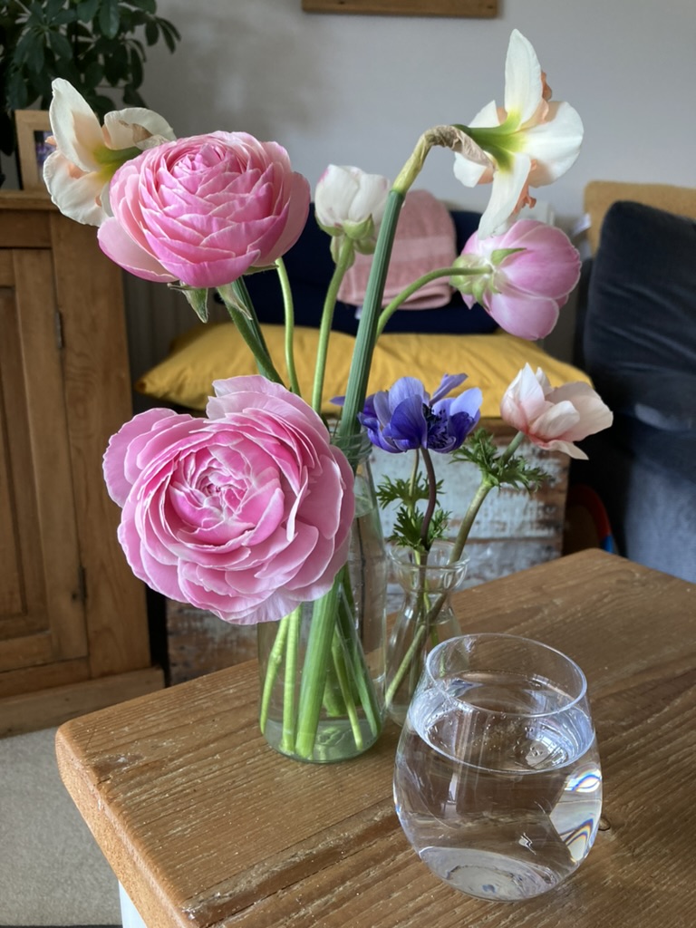 Tula Therapy – Reflexology and Forest Bathing, Bridport