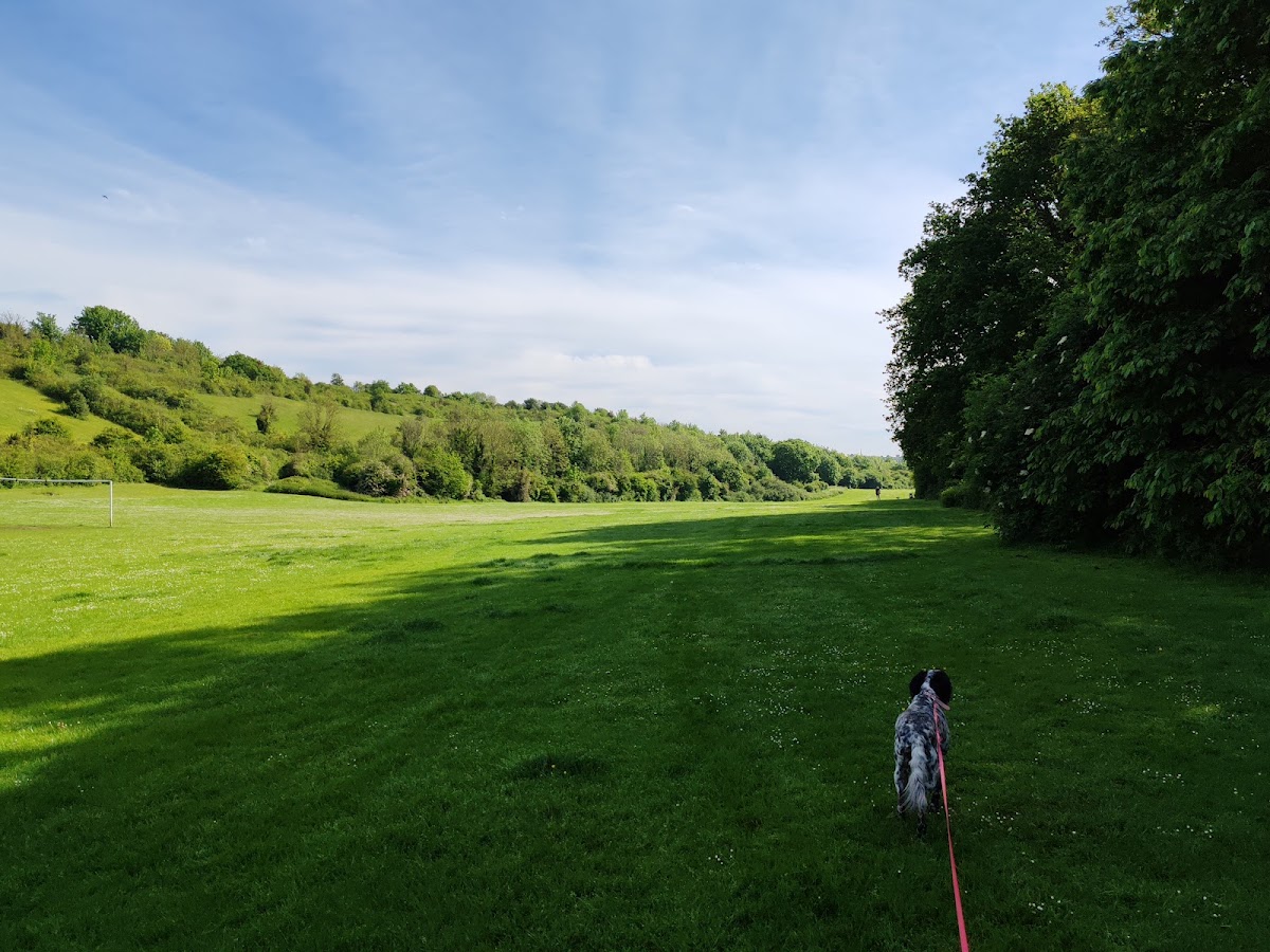Wayfield