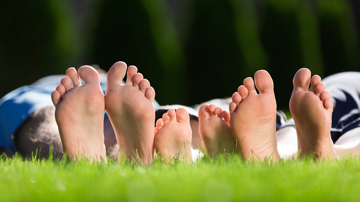 Wells Podiatry