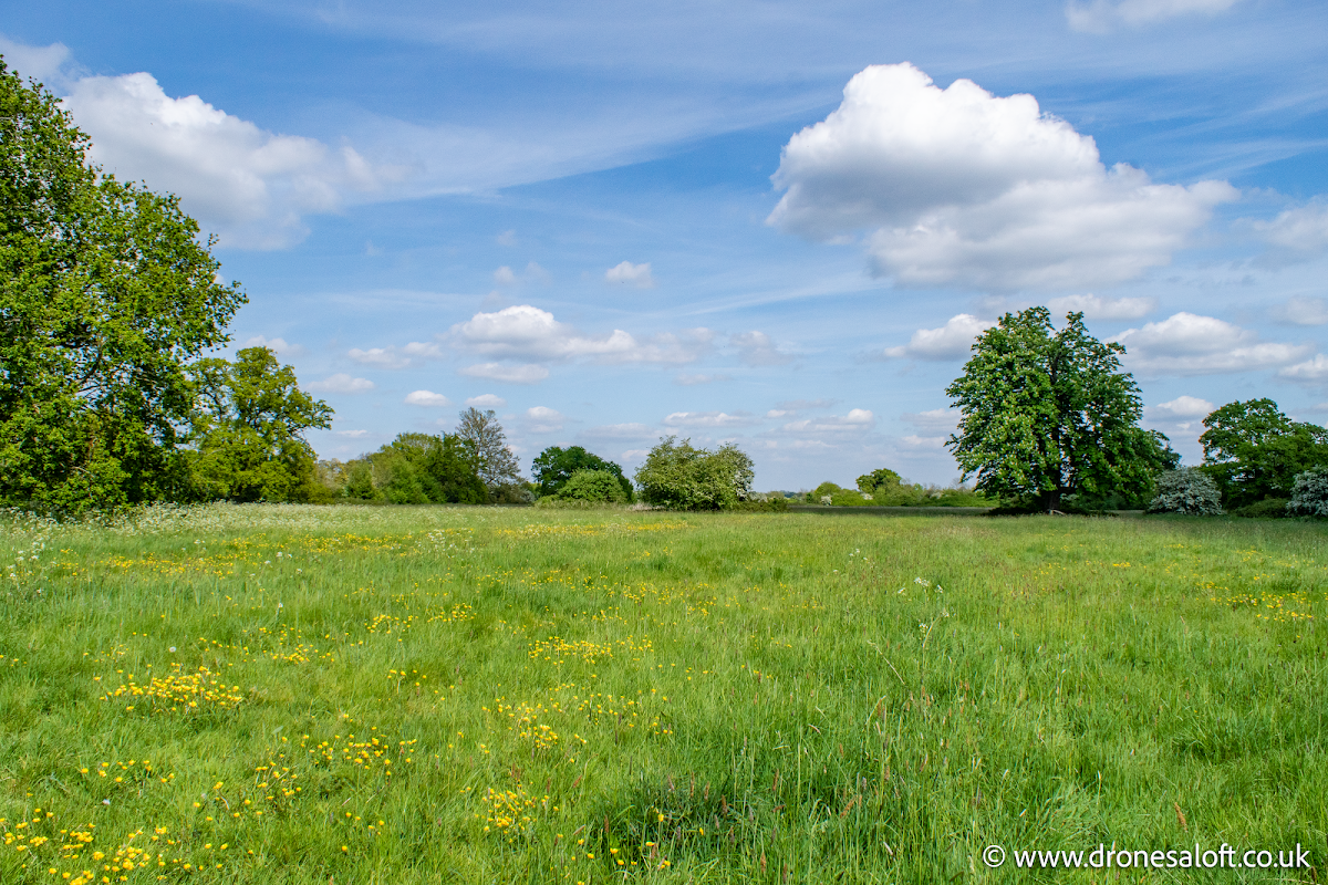 Wenny Road Meadow