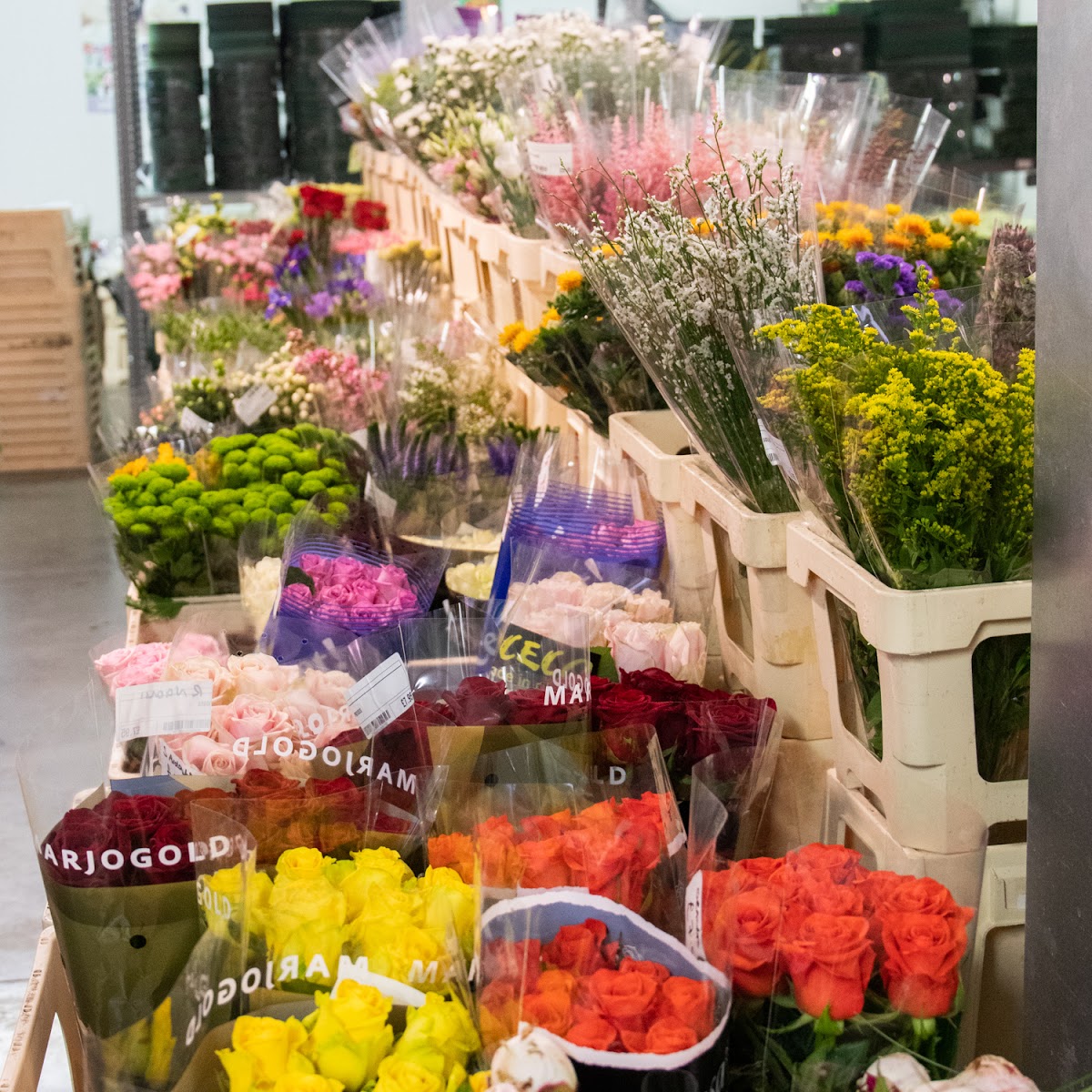 Whittingtons – Lordswood