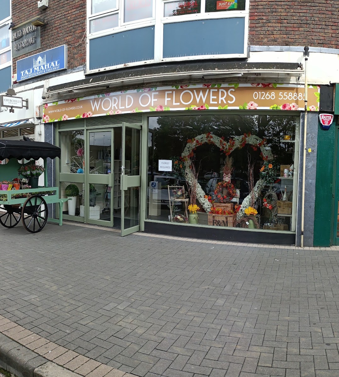 World Of Flowers