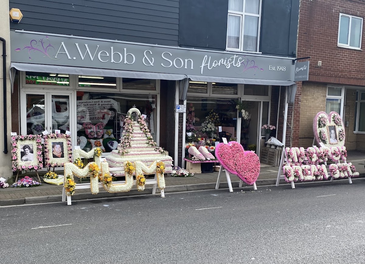 A Webb & Son