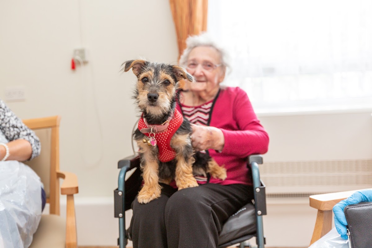 Ashlyn Care Home